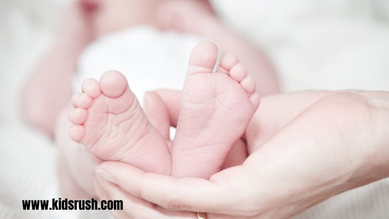 What is the newborn's immune system like?