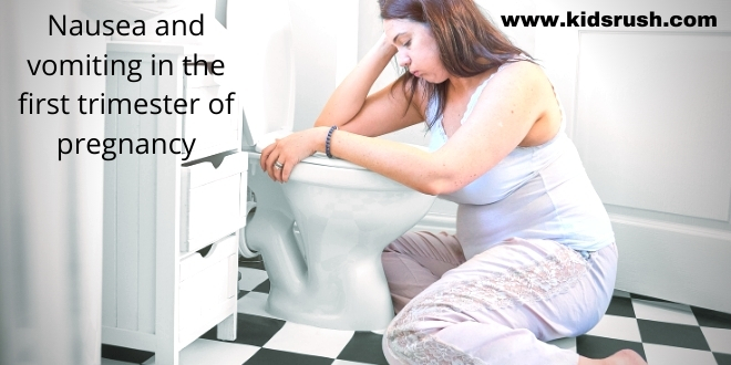 nausea-and-vomiting-in-the-first-trimester-of-pregnancy-kidsrush