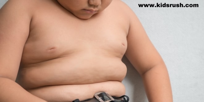 Diet Guidelines and Menu for Overweight Children