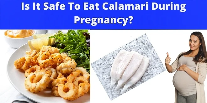 Is It Safe To Eat Calamari During Pregnancy?