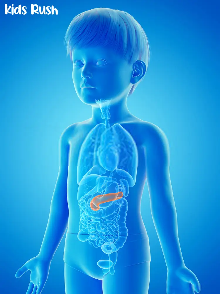 Causes of Pancreatitis In Children