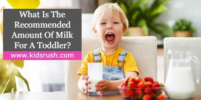 What Is The Recommended Amount Of Milk For A Toddler?
